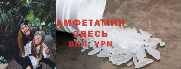 метадон Богданович