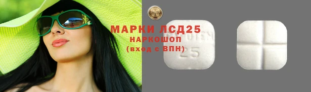 стаф Белоозёрский