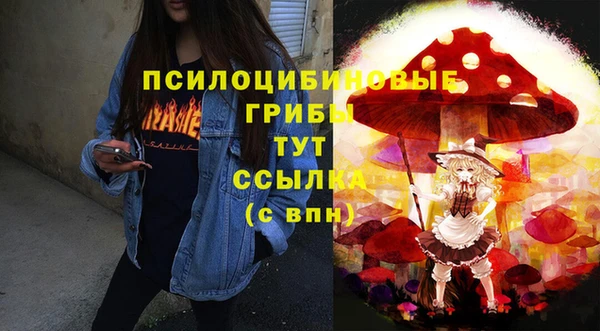 метадон Богданович