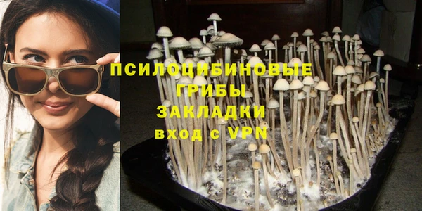 гидра Белокуриха
