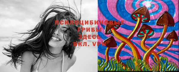 гидра Белокуриха
