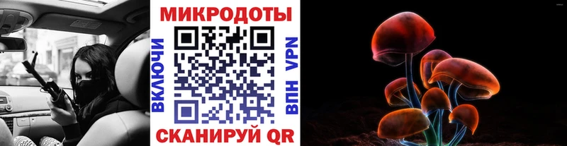 Псилоцибиновые грибы прущие грибы  что такое   Новоржев 